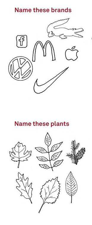 Disegni stilizzati di celebri marchi commerciali con titolo "Name these brands" seguiti da disegni stilizzati di diverse foglie con titolo: "Name these plants"
