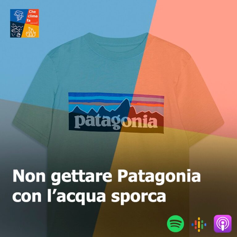 83 – Non gettare Patagonia con l’acqua sporca